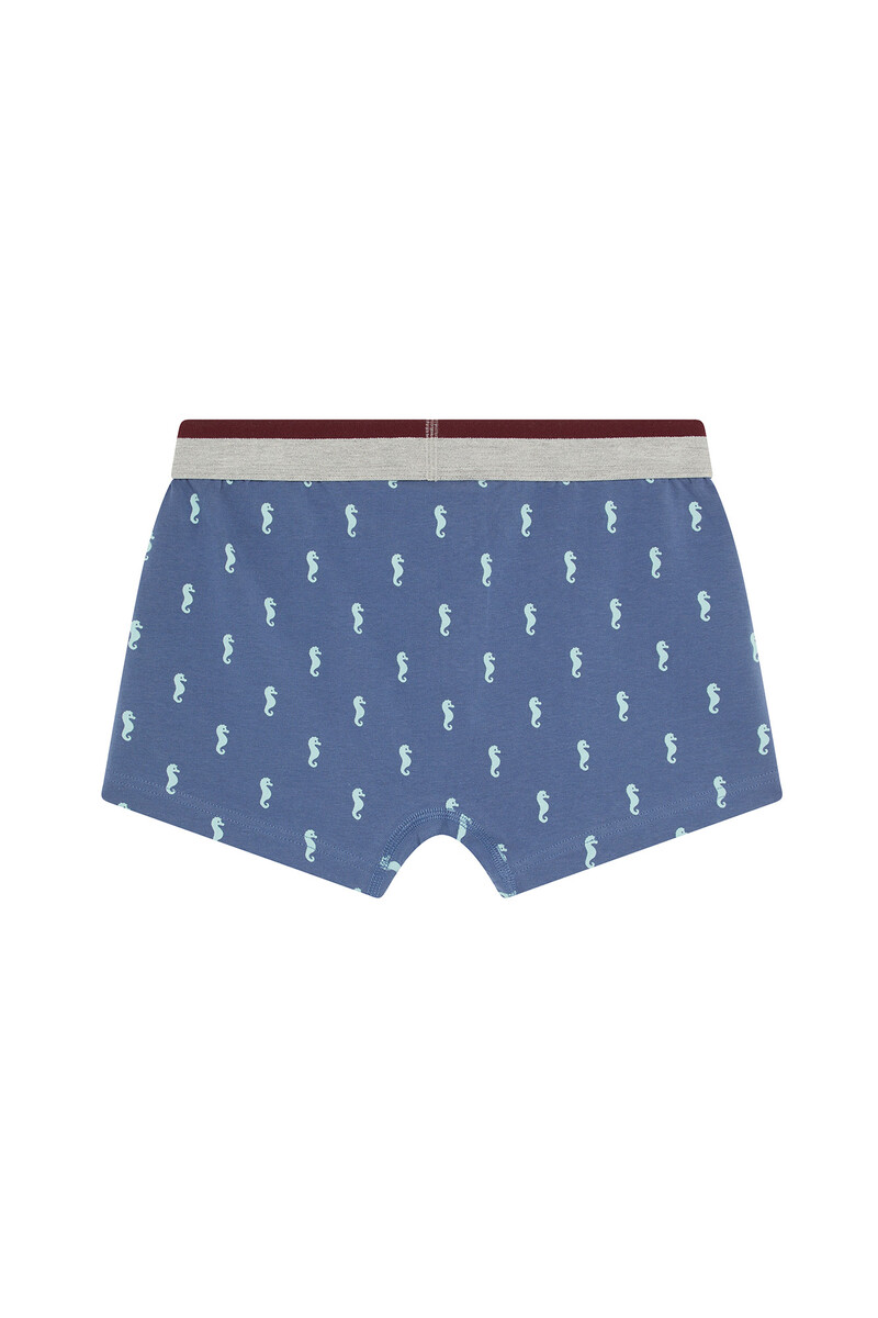 Women'secret Bóxer De Punto Estampado