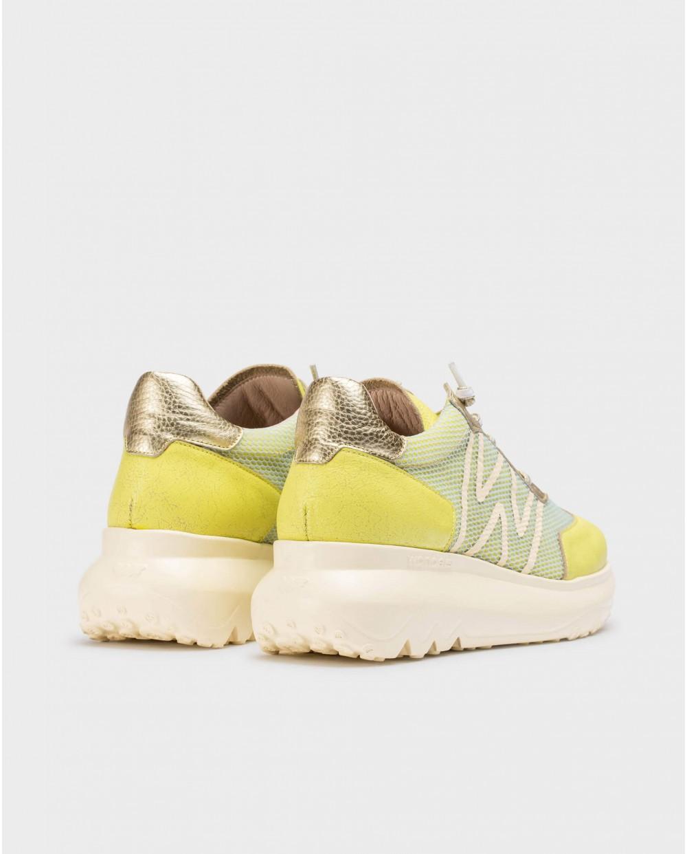 Wonders Deportivas AZURE Cyber