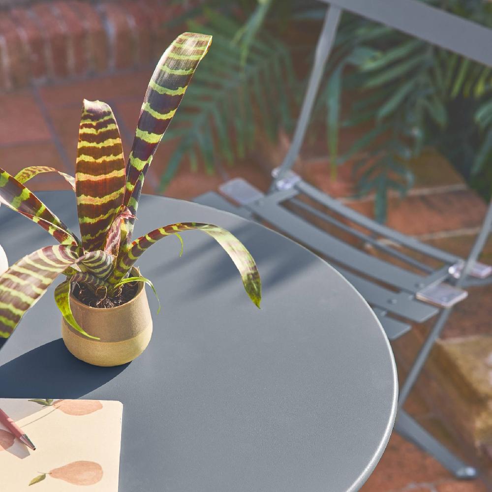 Mesa De Jardín Cuadrada Plegable De Metal 2 Sillas Emilia Azul Gris 60x60x71 Cm