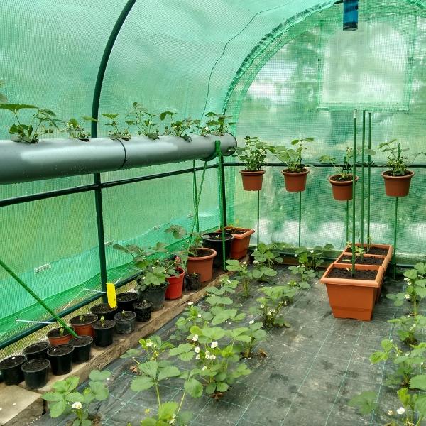 ROLLO MALLA ANTIHIERBAS 105 GRAMOS NEGRA 1.05M. ANCHO X 25M