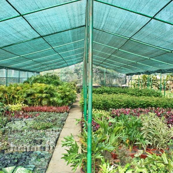 ROLLO MALLA SOMBREO 50% VERDE 2M X 50M