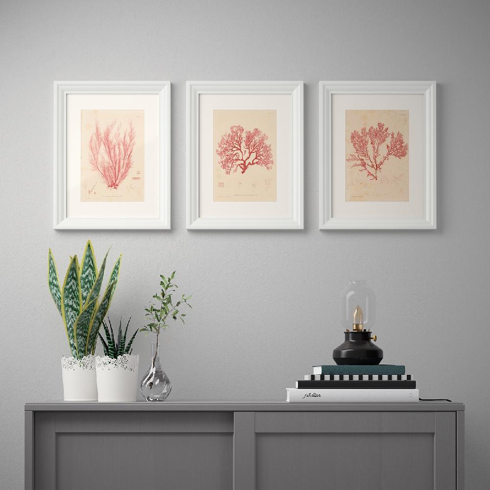 IKEA BILD Lámina Alga Marina 30x40 Cm