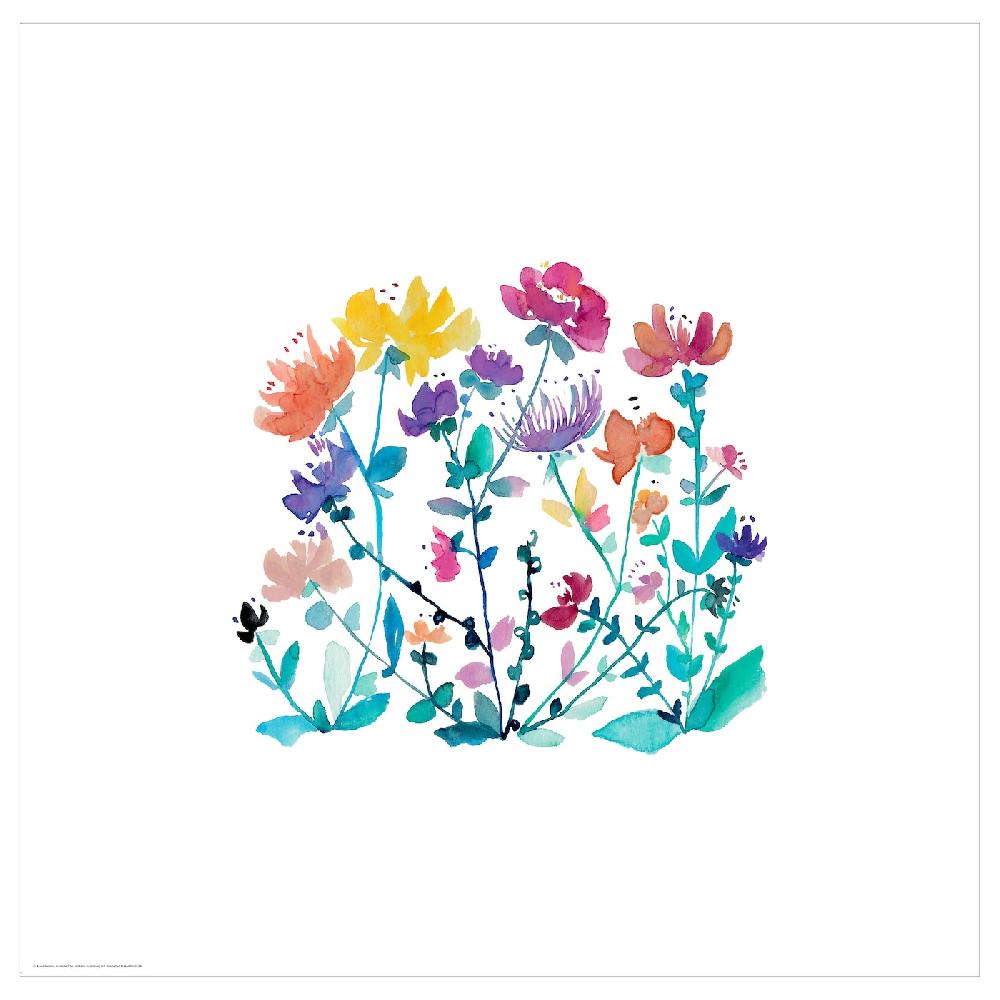 IKEA BILD Lámina flores silvestres 50x50 cm