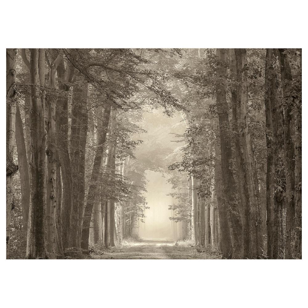 IKEA PJÄTTERYD Cuadro camino forestal 70x50 cm