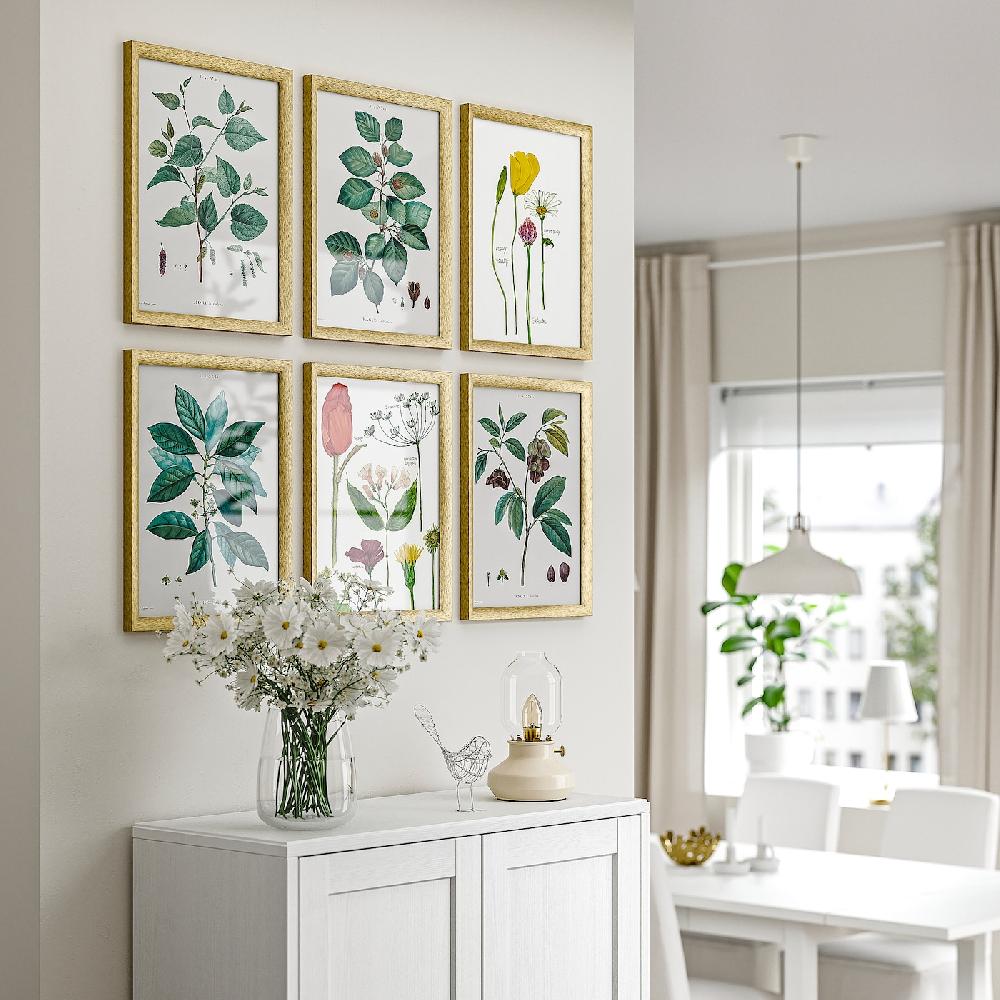 IKEA SILVERHÖJDEN Marco Dorado 30x40 Cm