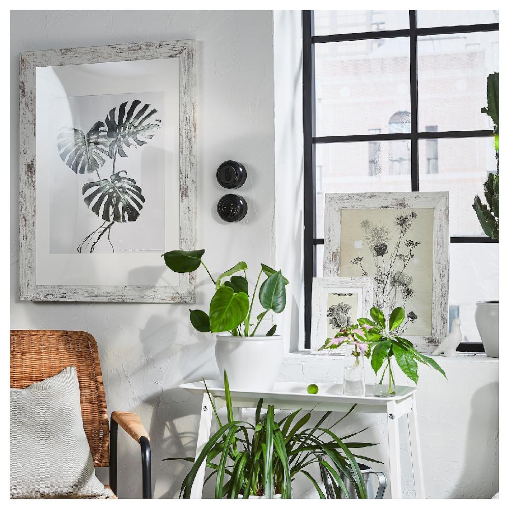 IKEA PLOMMONTRÄD Marco Blanco Efecto Pino Teñido 30x40 Cm