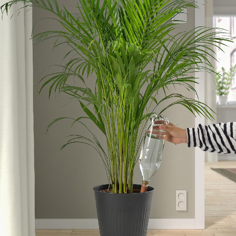 IKEA SVÄMSKOG Accesorio De Riego Automático Terracota/transparente 70 Cl