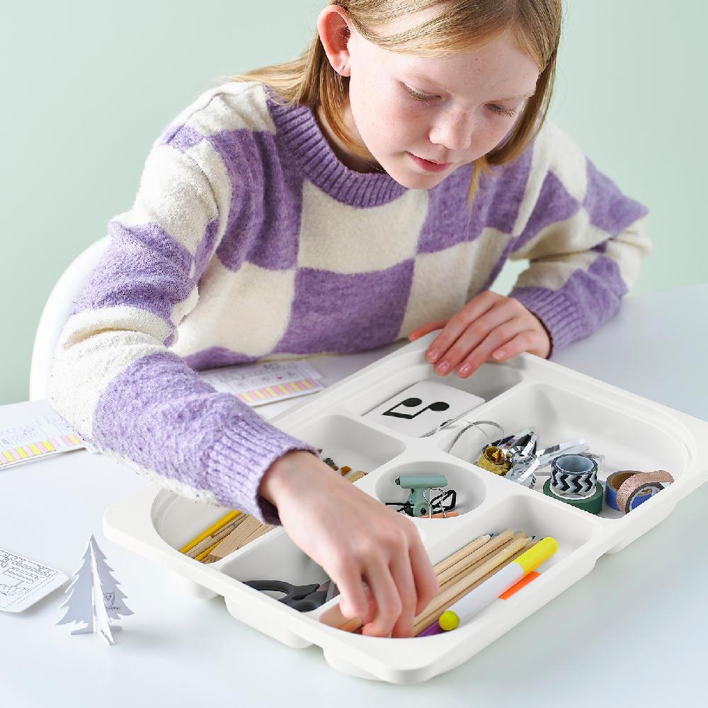 IKEA TROFAST Portaobjetos Con Compartimentos Blanco 42x30x5 Cm