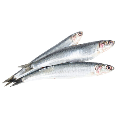 Alcampo Anchoa mostrador