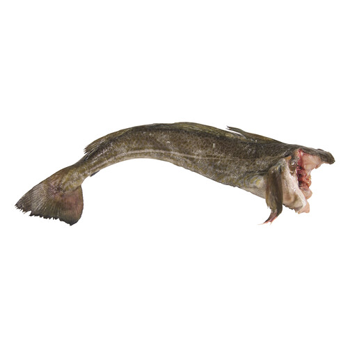 Alcampo Bacalao mostrador
