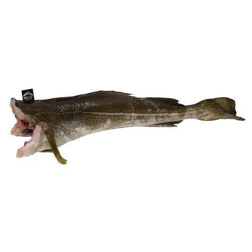 Alcampo Bacalao Skrei - Entero limpio