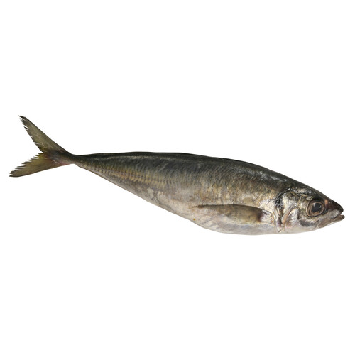 Alcampo Chicharro mostrador - Entero