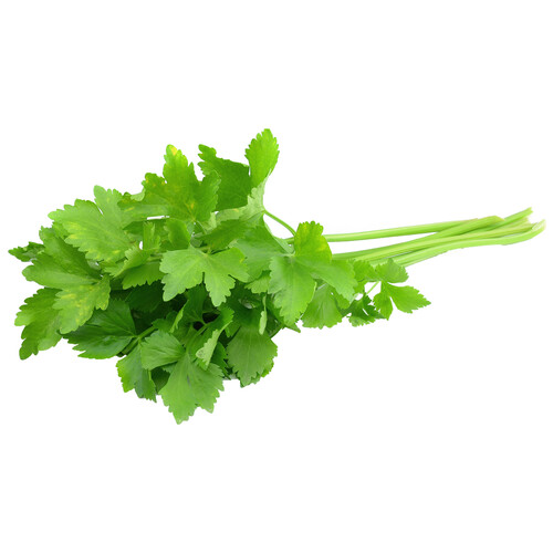 Alcampo Cilantro Manojo