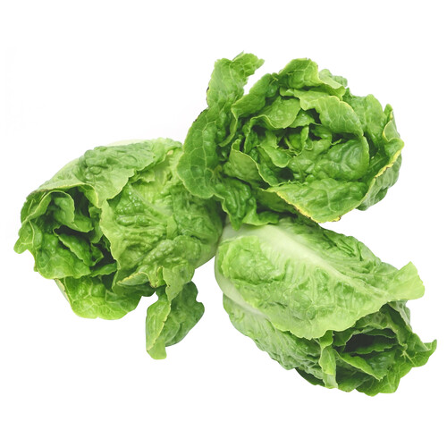 Alcampo Cogollos de lechuga bandeja de 3 uds