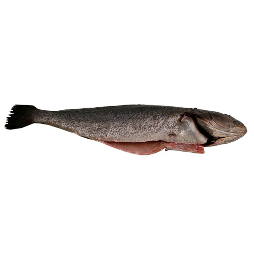 Alcampo Corvina mostrador - Entera limpia