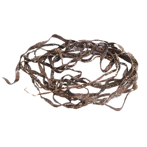Alcampo ALCAMPO CULTIVAMOS LO BUENO Alga Espagueti de Mar fresca en sal Bandeja