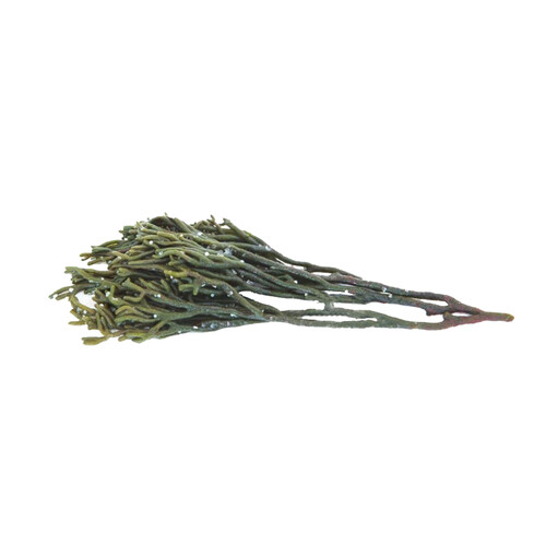Alcampo ALCAMPO CULTIVAMOS LO BUENO Alga Percebe fresca en sal Bandeja