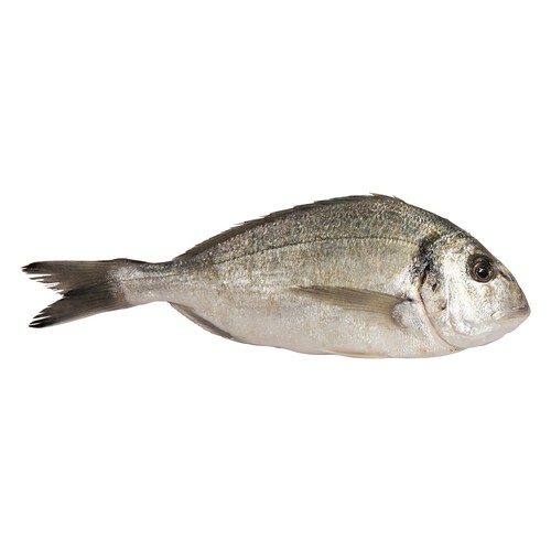 Alcampo ALCAMPO CULTIVAMOS LO BUENO Dorada de estero pequeña - Entera