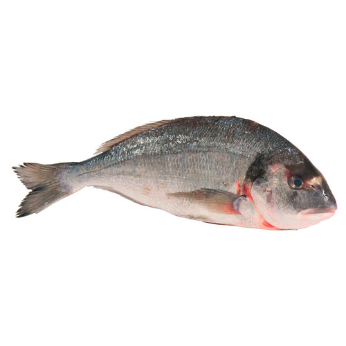 Alcampo Dorada mostrador - Entera