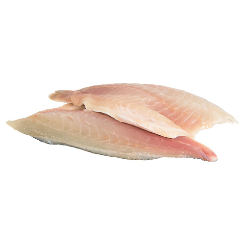 Alcampo Dorada mostrador - Filetes