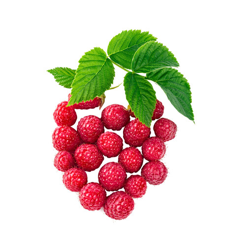 Alcampo Frambuesa tarrina 125 g