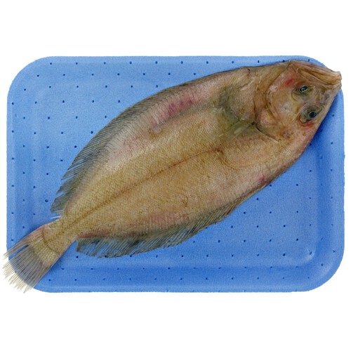 Alcampo Gallo