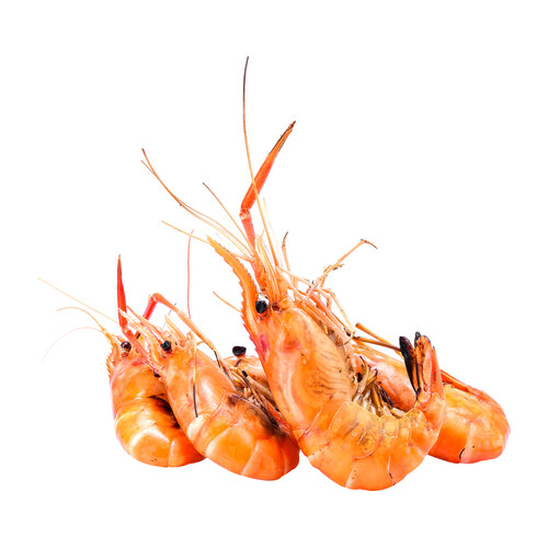 Alcampo Langostino Marfil Cocido