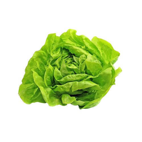 Alcampo Lechuga baby ecológica 2 uds