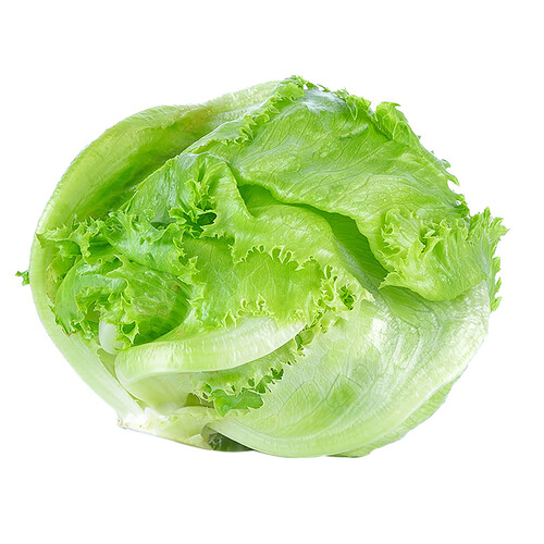 Alcampo Lechuga iceberg ecológica 1ud