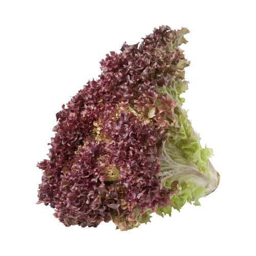Alcampo Lechuga lollo rosso 1 Unidad