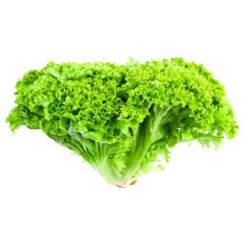 Alcampo Lechuga Lollo Verde 1ud 150g