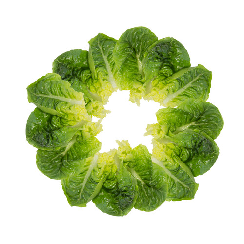 Alcampo Lechuga romana 1 ud