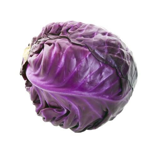 Alcampo Lombarda
