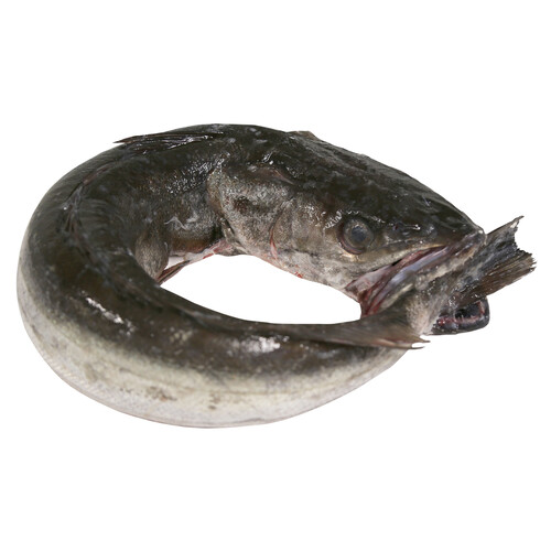 Alcampo Merluza Pincho De Celeiro Mostrador - Entera
