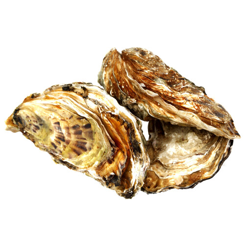 Alcampo Ostra rugosa Bretaña 12 uds