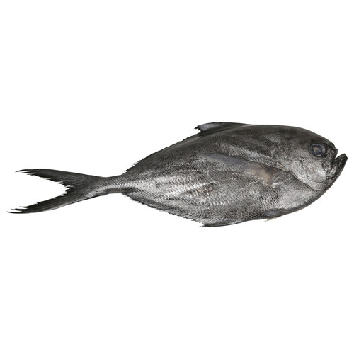 Alcampo Palometa mostrador - Entera