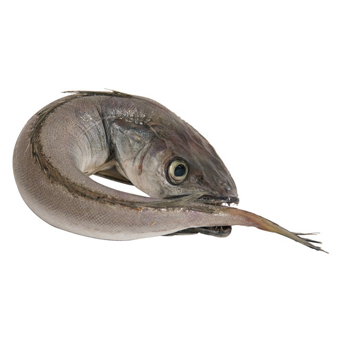 Alcampo Pescadilla fina mostrador - Entera