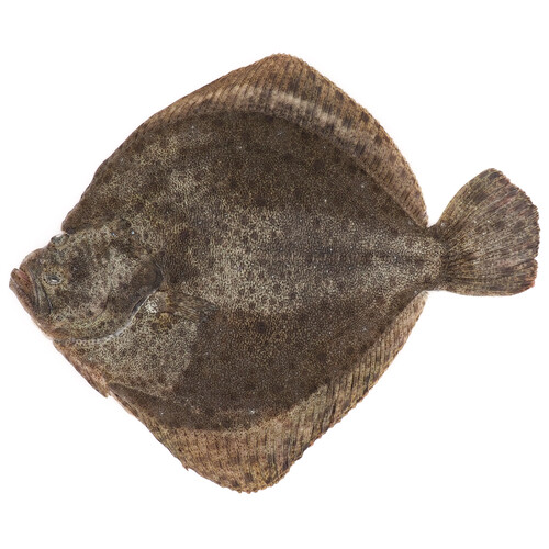 Alcampo Rodaballo mostrador 600-800 g