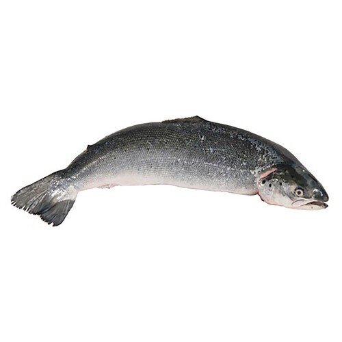Alcampo Salmón entero mediano