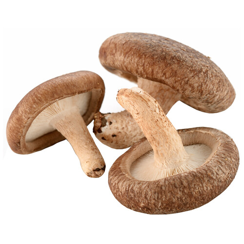 Alcampo Seta Lentinula Edodes Shiitake