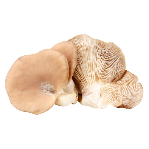 Alcampo Setas barqueta 400 g