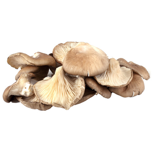Alcampo Setas (pleurotus ostreatus) a granel