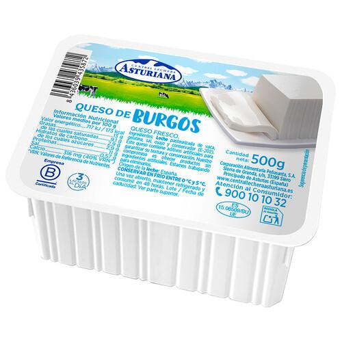 Alcampo FLOR DE BURGOS Queso fresco FLOR DE BURGOS tarrina 500 g