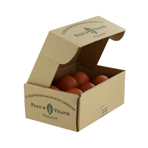Alcampo PAZO DE VILANE Huevos de gallinas camperas clase L y cat. A 6 uds