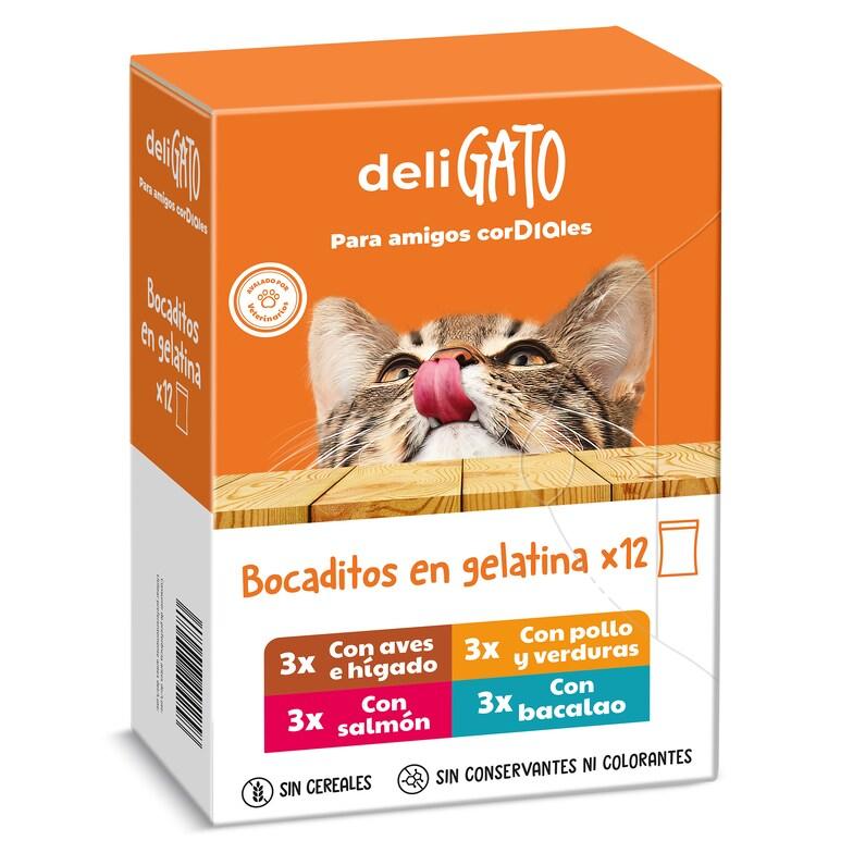 Dia Alimento para gatos bocaditos en gelatina Deligato Dia pack 12 x 100 g