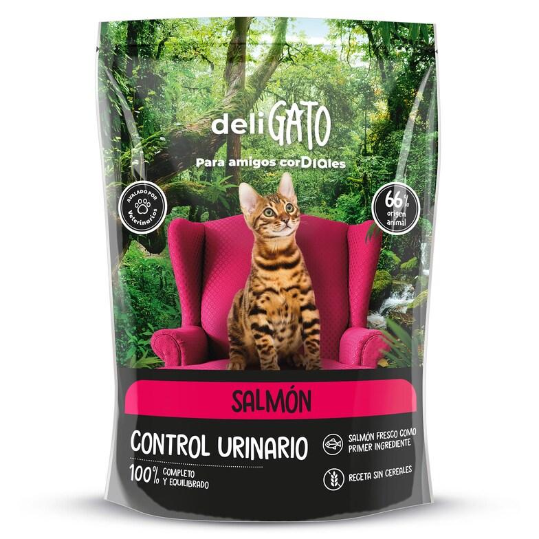 Dia Alimento para gatos de salmón control urinario Deligato Dia bolsa 800 g