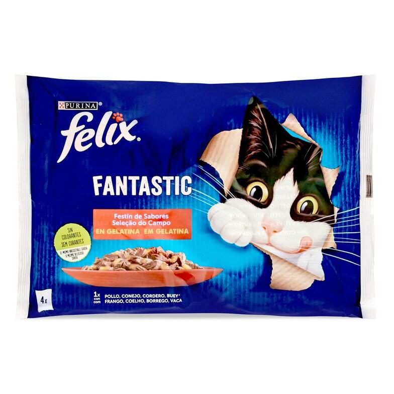 Dia Alimento para gatos fantastic sabor carne Felix bolsa 4 x 85 g