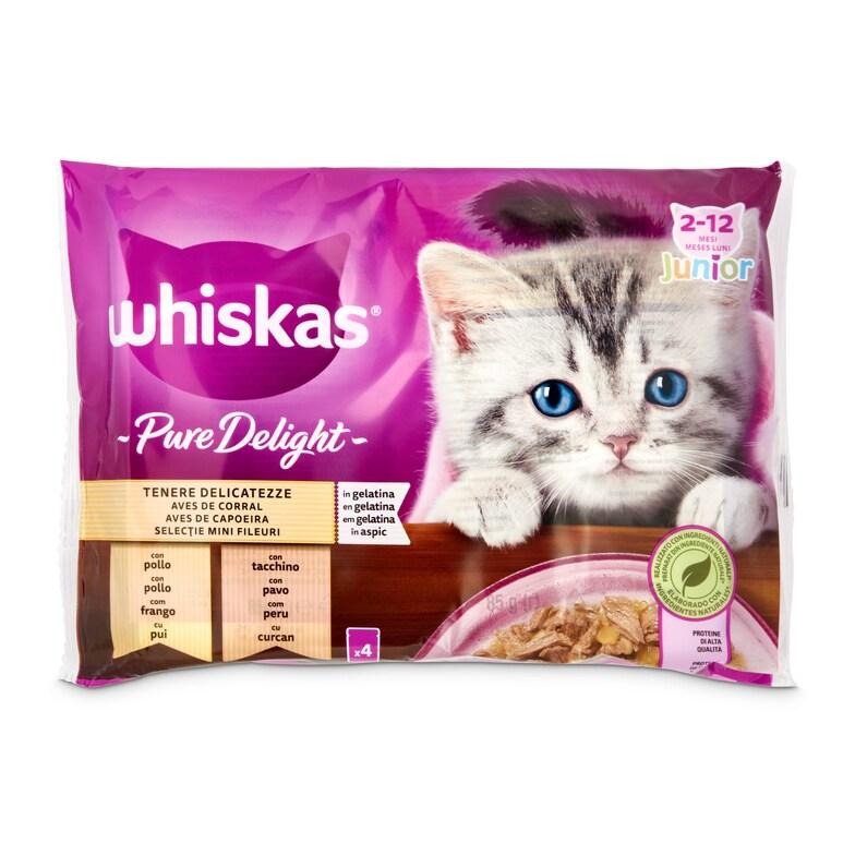 Dia Alimento para gatos junior aves en gelatina Whiskas pure delight bolsa 4 x 85 g