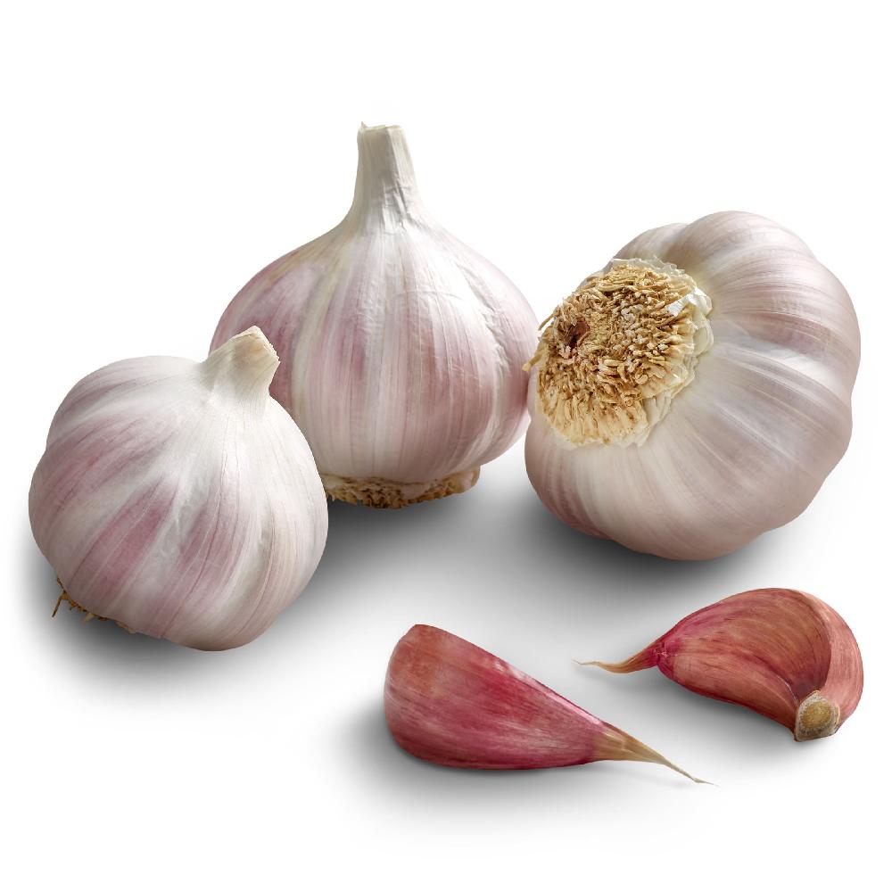 Dia Ajo unidad aprox. 60 g