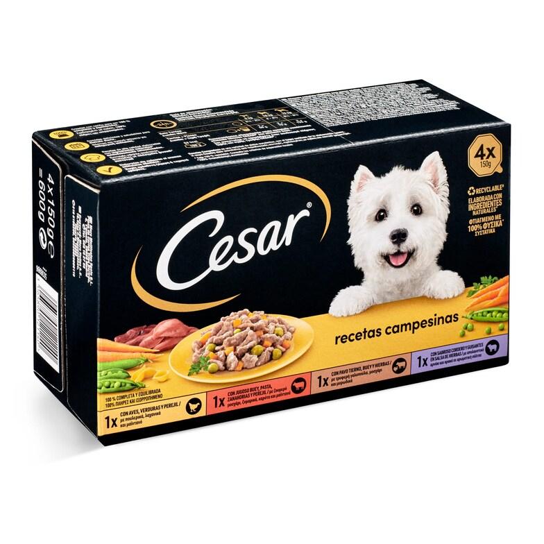 Dia Alimento para perros completo Cesar caja 600 g